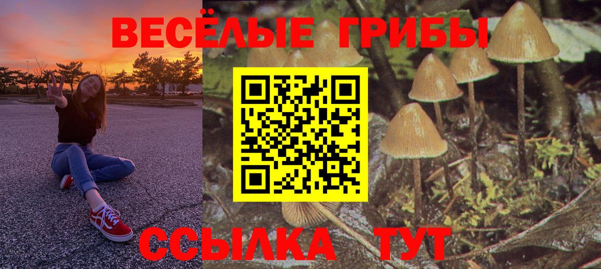 Галлюциногенные грибы ЛСД Абинск